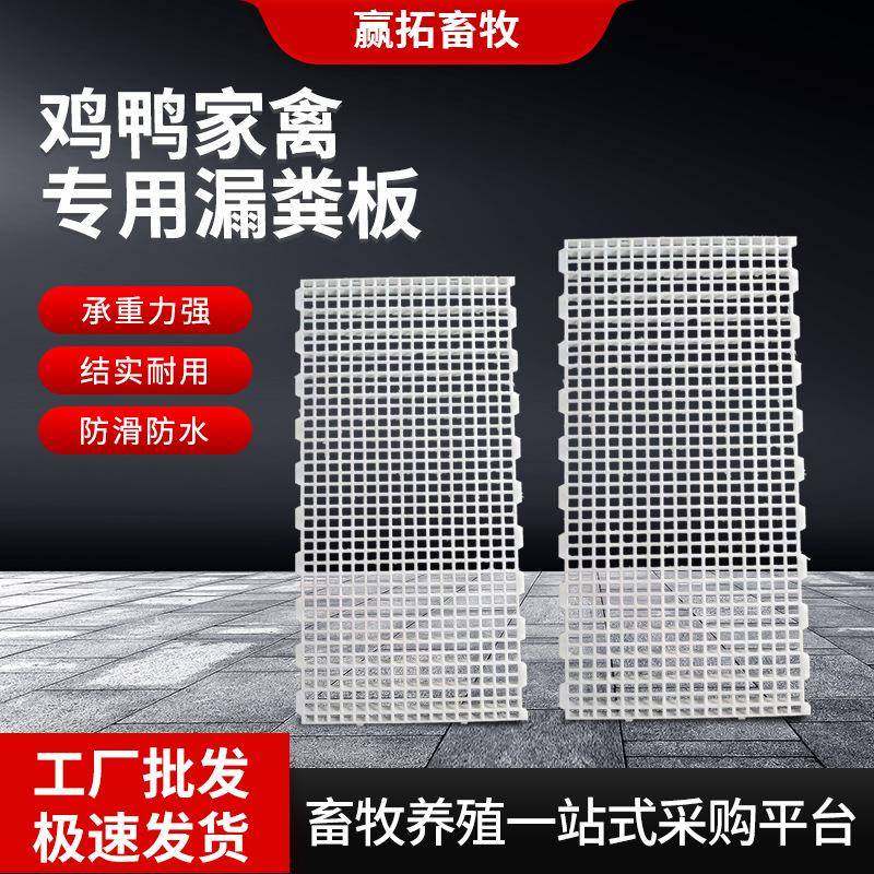 鸡鸭鹅漏粪板加厚塑料网格家禽漏粪板鸡舍接屎板地板养鸭养殖设备,畜牧/养殖物资,特种养殖设备,淘宝优惠券,粉丝福利购,淘宝优惠卷