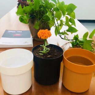 花盆存钱创意带锁铁盒保险钥匙迷你储钱收纳盒藏钱礼品