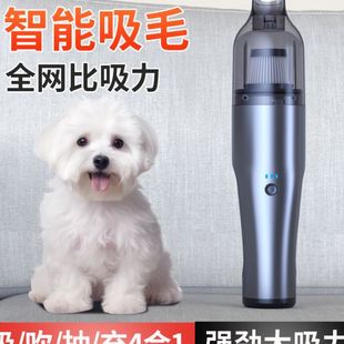 无线车载吸尘器大功率迷你充电家用车用沙发宠物吸毛器 2024新款
