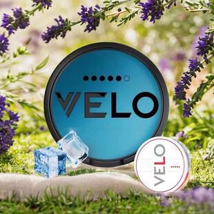 2025新品瑞典进口snus velo品牌口含袋代替唇袋收纳盒出行便携