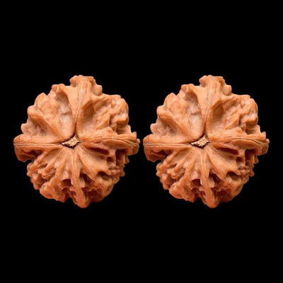 厂家文玩核桃天然异形秦岭山脉正四棱尺寸41-37全品无修高