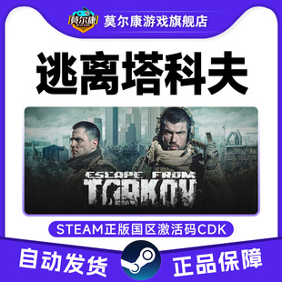 Steam 逃离塔科夫 Escape from Tarkov 国区激活码CDKey PC游戏