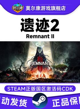 Steam 遗迹2 Remnant II 灰烬重生 国区激活码CDK 黑暗的视界DLC