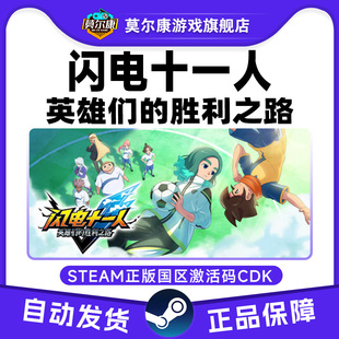 闪电十一人 国区激活码 英雄们 闪电十一人go CDK 胜利之路 steam