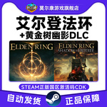 Steam艾尔登法环 法环黄金树幽影DLC老头环 法环 国区激活码CDKey