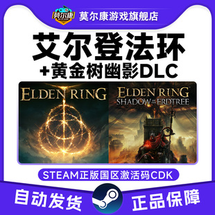 Steam艾尔登法环 法环黄金树幽影DLC老头环 法环 国区激活码CDKey