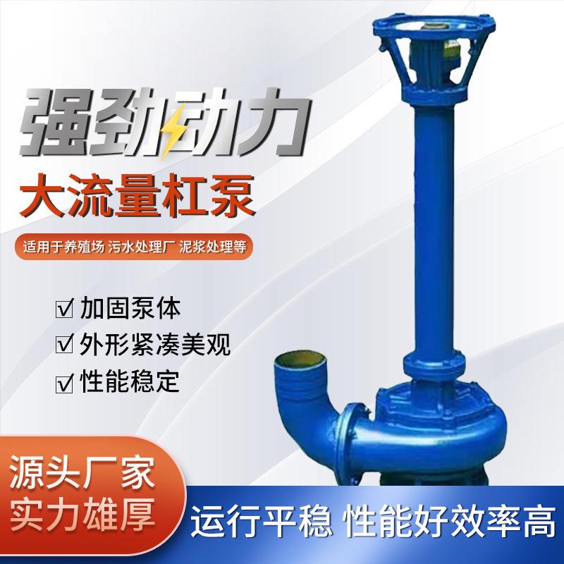 现货供应立式泥浆泵抽粪泵抽泥加厚长杆泵配件化粪池塘清淤污水泵