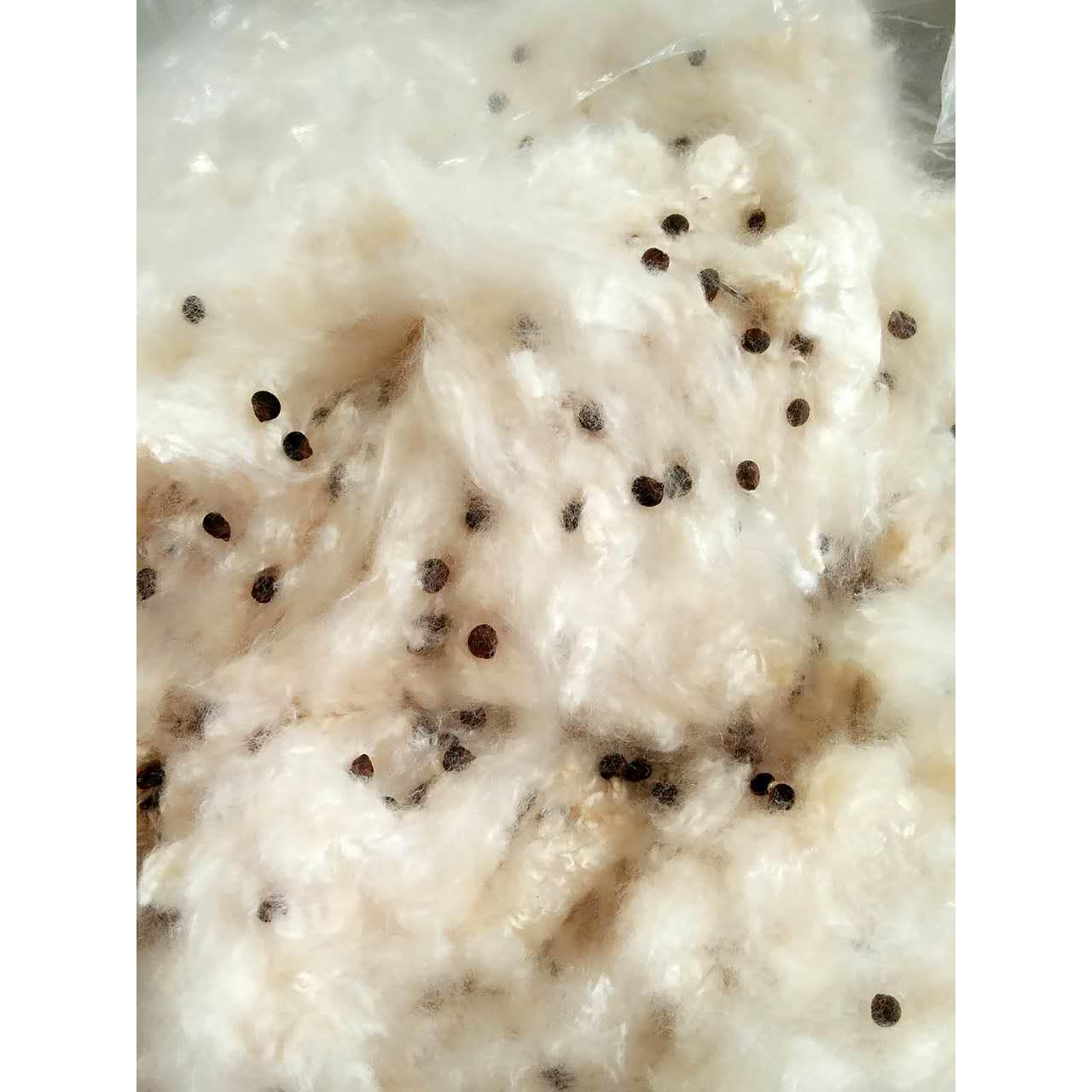 优质天然带籽木棉花枕头 有籽木棉枕芯料 散装含子有子木棉