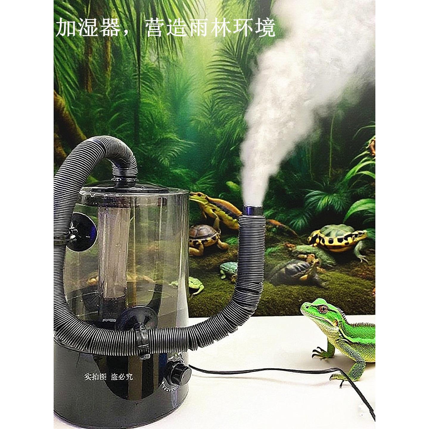 爬宠加湿器动植物兰花多肉蕨类增湿雨林缸养龟蜥蜴喷雾带延长管
