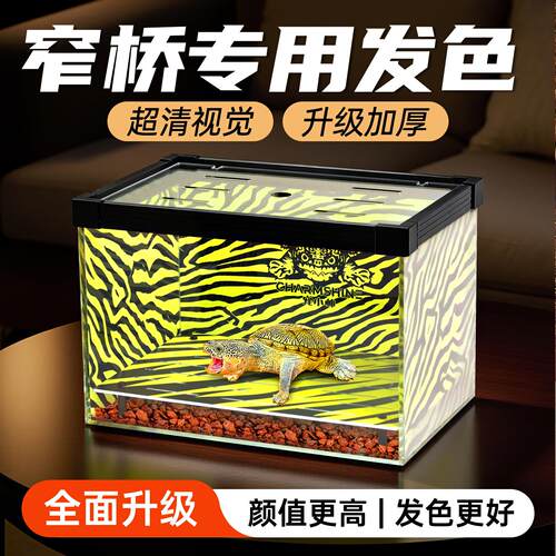 窄桥饲养盒家用育龟苗隔离盒蛋龟鳄龟发色盒底滤可视周转箱乌龟缸
