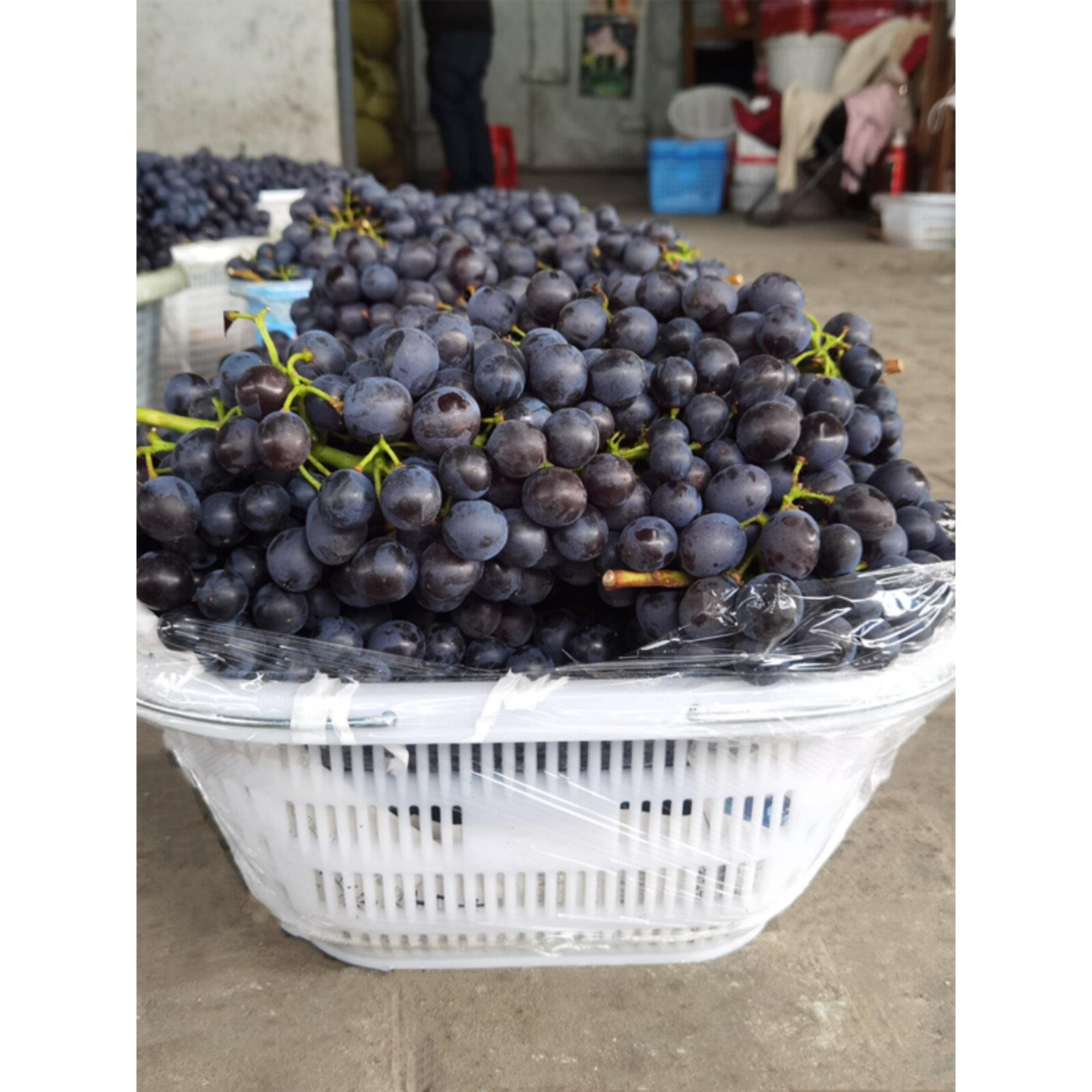 水果篮10斤15斤20斤装塑料篮手提白色草莓采摘篮大号水果葡萄胶框