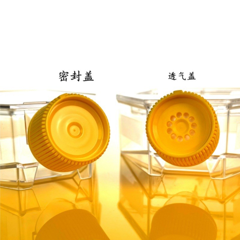 WHB培养瓶T25T75T150T300斜口透明瓶密封盖透气盖实验室耗材