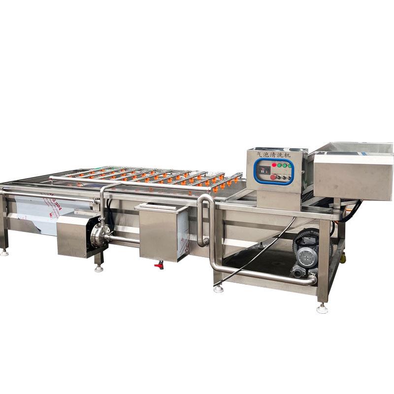 全自动气泡清洗机山楂桃子清洗设备瓜果樱桃苹果不锈钢洗果设备
