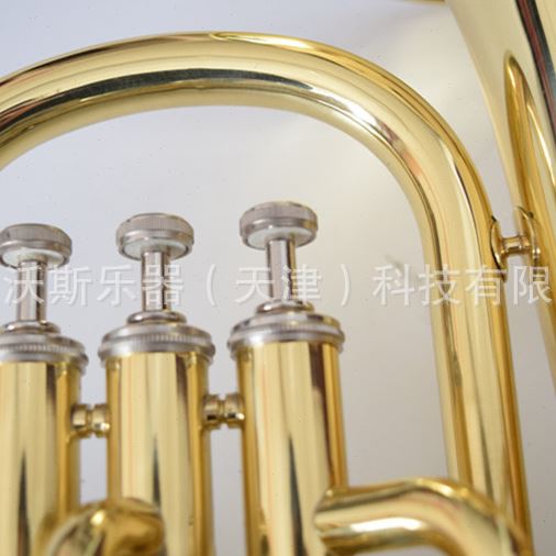 卡尔沃斯立健次中音号降b调 巴立东 西洋铜管乐器小抱号JK1180