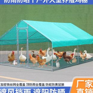 户外鸡棚鸡笼子养鸡鸭鸽笼家禽大型孔雀篷遮雨鸡舍搭建家用养殖笼