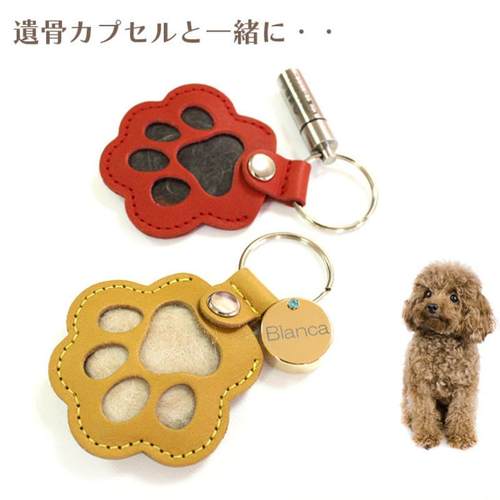 现货宠物遗毛收纳钥匙扣 宠物纪念随身钥匙扣 可爱猫爪印收纳套
