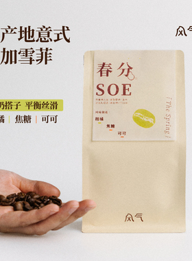 风气咖啡 春分SOE中烘意式埃塞耶加雪啡水洗单产地意式果香咖啡豆
