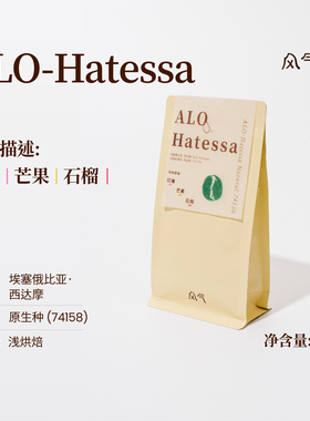 风气咖啡 浅烘手冲 ALO-Hatessa埃塞俄比亚74158日晒咖啡豆100g