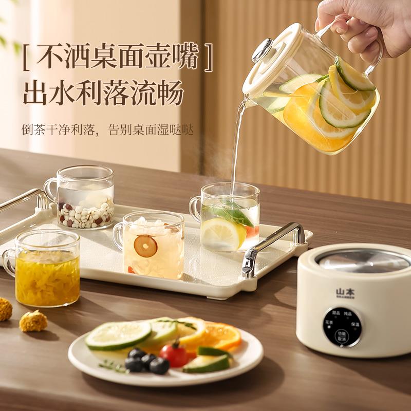 养室壶办公小型全自动加厚玻璃保养生壶/煎药壶/养生