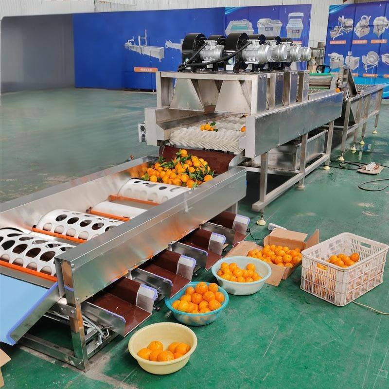 柑橘清洗打蜡机选果机水果清洗风干一体机橙子清洗打蜡分级生产线