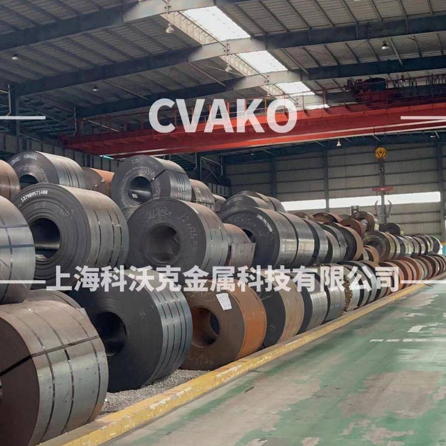 现货热轧卷 SAE1006B 热轧卷板 热扎板卷 定尺切割开平分条