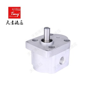 電液推桿中小型工程機械 雙向齒輪油泵 E320 生產CBS