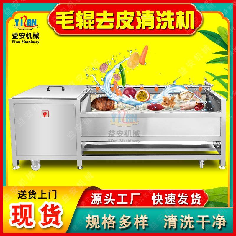 现货根茎类生姜毛辊清洗机去皮天麻玉竹药材清洗机人参黄精清洗机