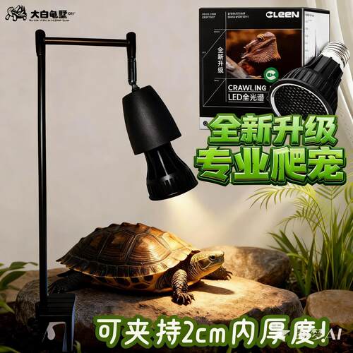 定时乌龟晒背灯专业/全光谱爬宠晒背UVB 10.0乌龟灯专业级别CLeen