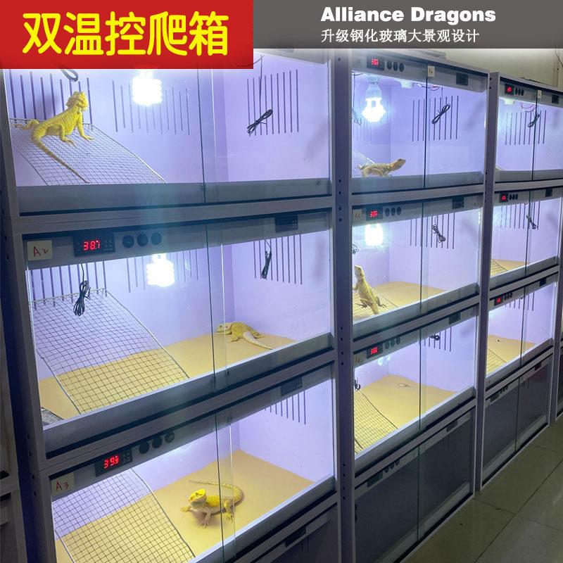 鬃狮蜥饲养箱爬宠pvc保温箱子智能温控全景异宠饲养箱双温控爬箱