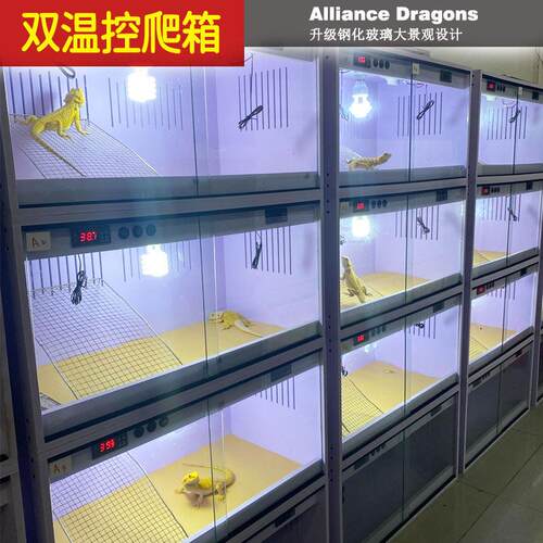 鬃狮蜥饲养箱爬宠pvc保温箱子智能温控全景异宠饲养箱双温控爬箱