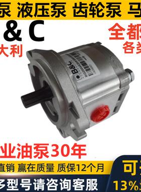 意大利B&C齿轮泵BG2004S20AS90GG4S00 B+C HYDRAULICS油泵马达eac