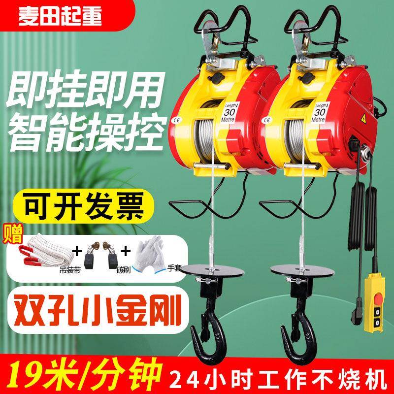 小金刚电动葫芦220v家用小吊机便携式悬挂升降机微型遥控电葫芦