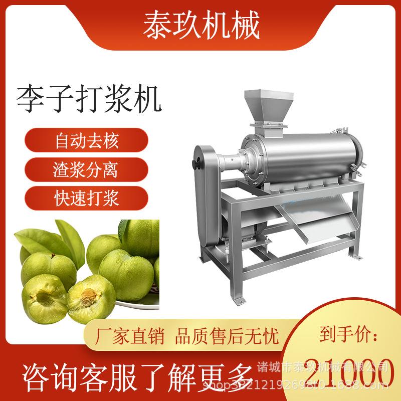 李子去核打浆机梅子打泥机百香果去皮去核打浆设备香梨大型榨汁机