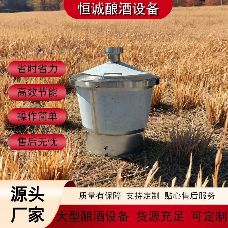 家用小型酿酒设备全自动蒸酒蒸锅设备白酒制酒设备厂家直供