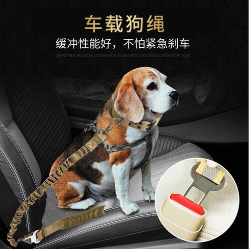 宠物牵引绳车载狗绳车载 卡扣固定狗绳遛狗弹力牵引绳短款