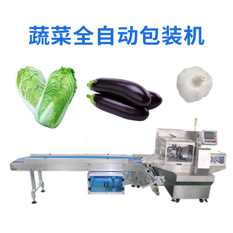 多功能全自动蔬菜包装机机械ZS-700X蔬菜打包机械