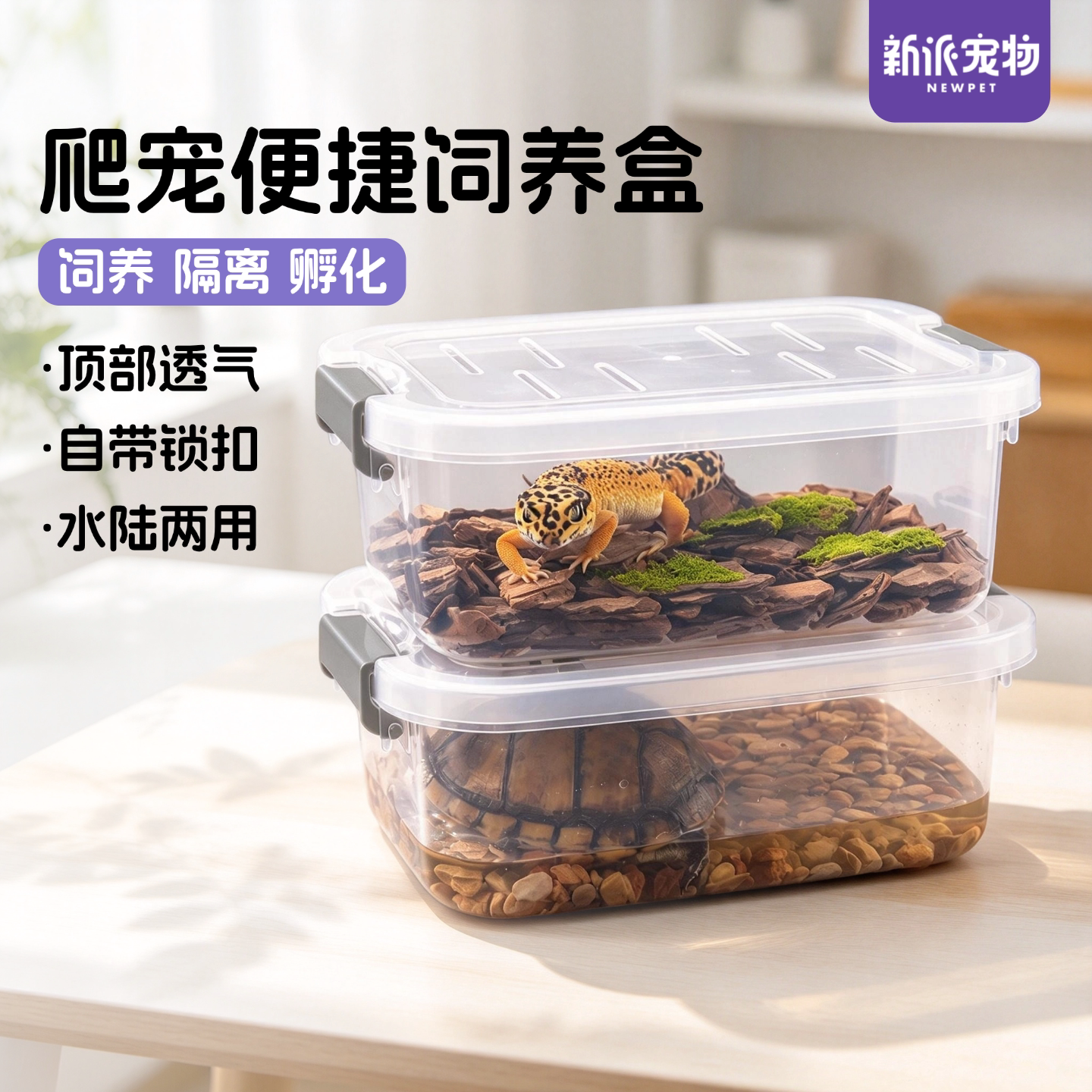 新派宠物便捷饲养盒爬宠缸爬虫盒
