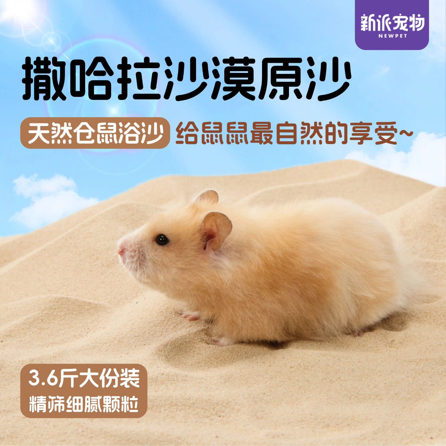 新派宠物撒哈拉沙漠沙仓鼠浴沙