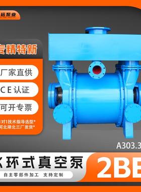 冀真2BE303/353水环式真空泵及压缩机化工矿山工业液环泵博远泵业