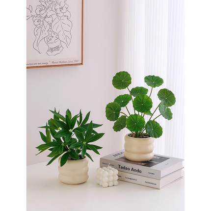 仿真花假绿植发财树小型盆栽造景工位仿生花艺摆件客厅餐桌面植物