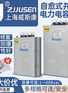 上海威斯康补偿并联电力电容器BSMJ0.45-20-3 30-3 40 50 15Kvar