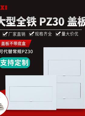 PZ30配电箱全铁盖板明暗装强电回路白色面板全金属消防盖子可定制