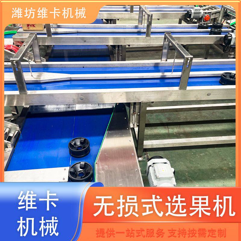 草莓选果机价格 释迦果零损伤分拣机  呵护式多级称重选果机