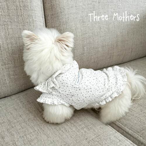 Three Mothers原创宠物星星花边泰迪比熊小型犬猫狗春夏花边背心