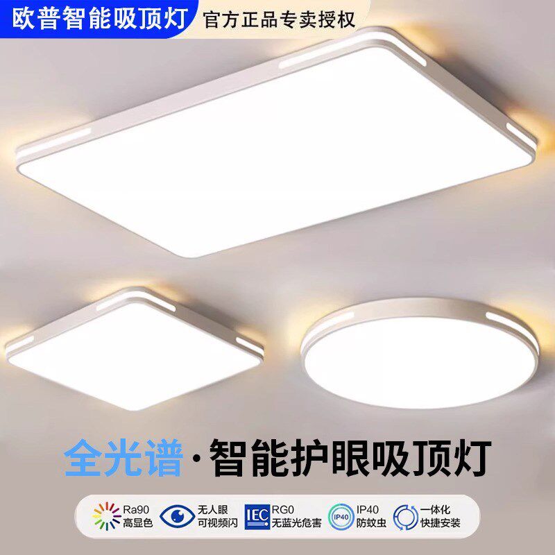 2025新款LED吸顶灯客厅灯长方形卧室灯圆形全屋灯具套餐