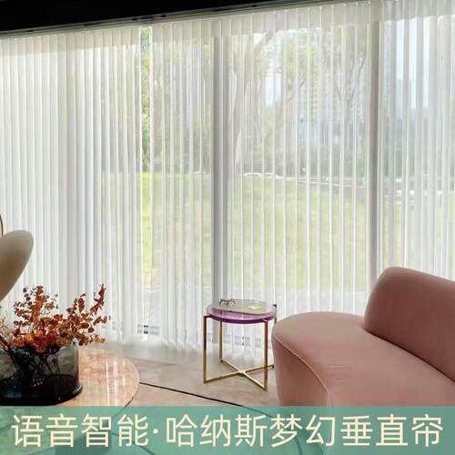 电动梦幻帘客厅窗帘透光不透人纱帘阳台落地窗卧室遮光垂直帘