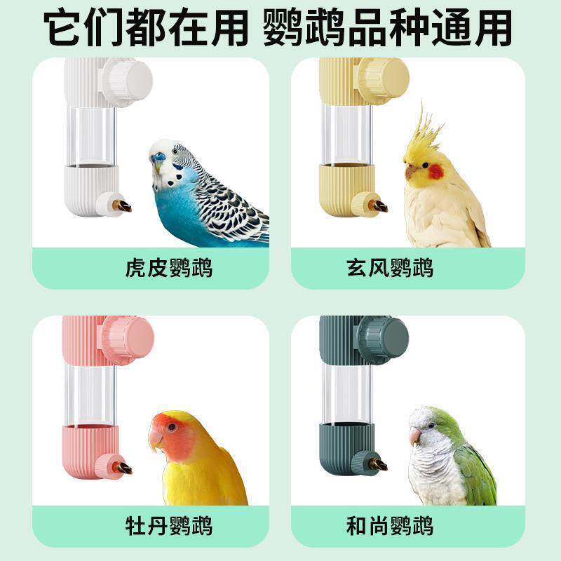 大中小型笼子挂式饮水器用品用具鹦鹉专用的自动喂水器鸟撞针水壶