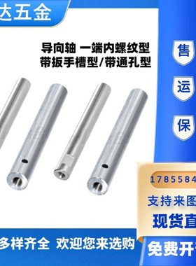 带扳手槽/带通孔型SCE01-D10-L100-M4-S20导向轴