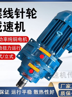 常州BWD卧式摆线针轮减速机vBLD立式国标纯铜芯380V电机减速机一