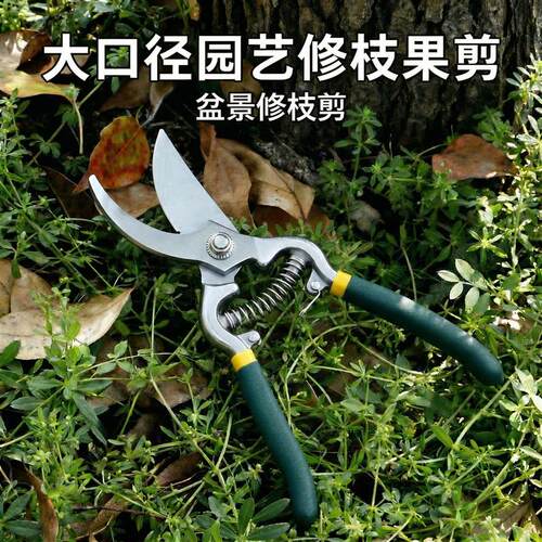 进口园艺剪刀剪树枝专用SK5修枝剪粗枝省力强力树枝剪刀花艺剪刀